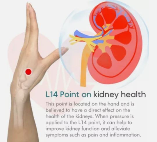 Acupressure Point Clip (Magnetic)
